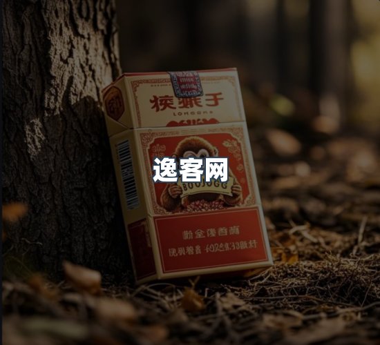 关于逸客网